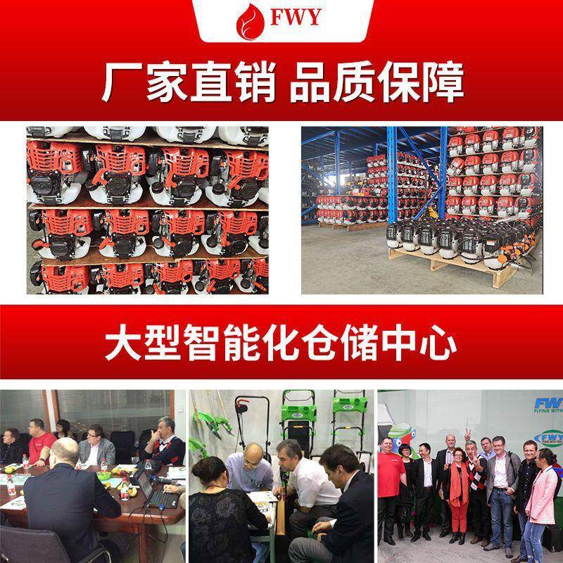 国进口汽油绿篱机修剪机篱笆茶树修剪园德林化带剪枝绿MUS修剪其