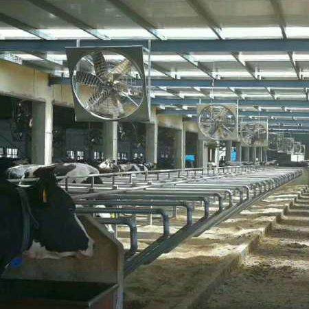 家直销畜牧风机养棚殖负压风机可定JSP制厂牛舍大风机