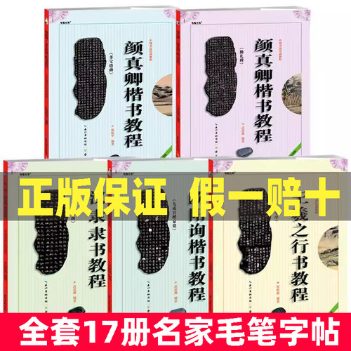 全17册中国书法培训教程王羲之颜真卿赵孟頫柳公权欧阳询毛笔字帖赵孟府书法cy