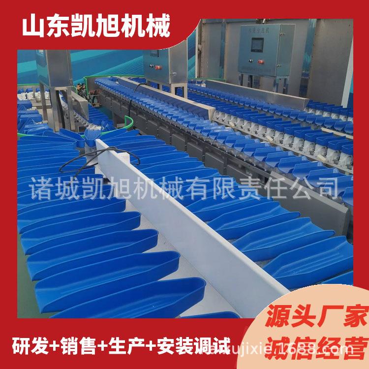 贝贝瓜克重选果机 水果芭乐释迦果大小分选机 销售重量分类机