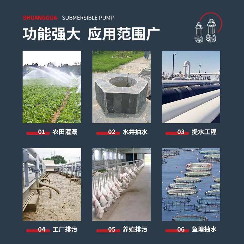 DX全锈钢水泵污PWL水泵排污泵农用清水污物抽水泵Q2不2潜0V/380V