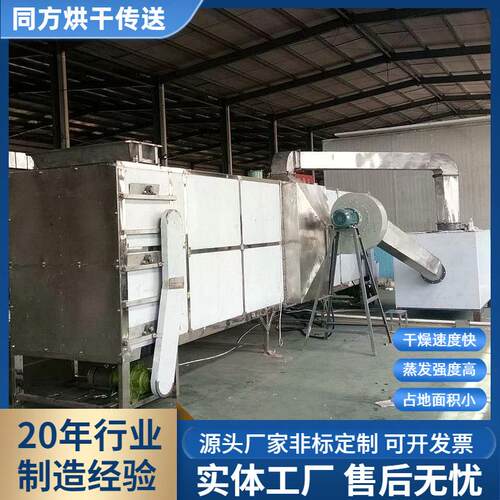 定制多层西瓜子葵花籽烘干机 南瓜子不锈钢瓜子皮干燥机一年质保