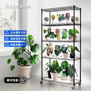 Barrina佰利纳室内植物摆放花架灯架多肉绿植小推车+全光谱补光灯