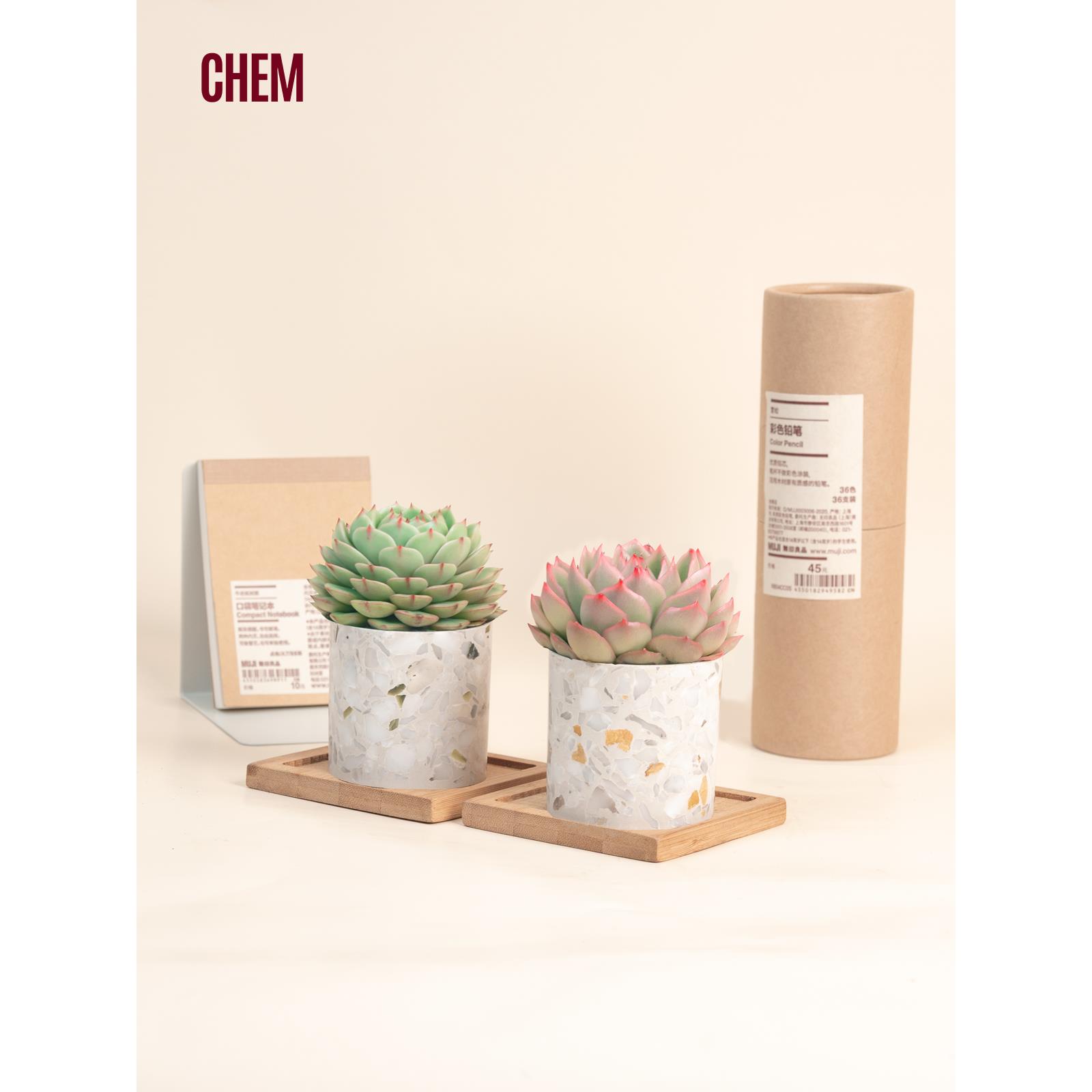 CHEM植物盒子玉露室内多肉植物桌面摆件大理石水磨石花盆带盆栽好