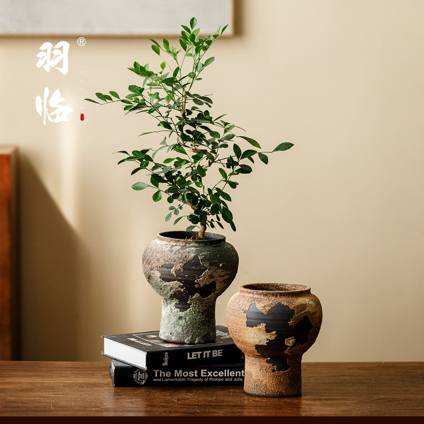 景德镇中古风陶瓷小花盆居家蝴蝶兰兰花绿植盆栽办公室小盆景