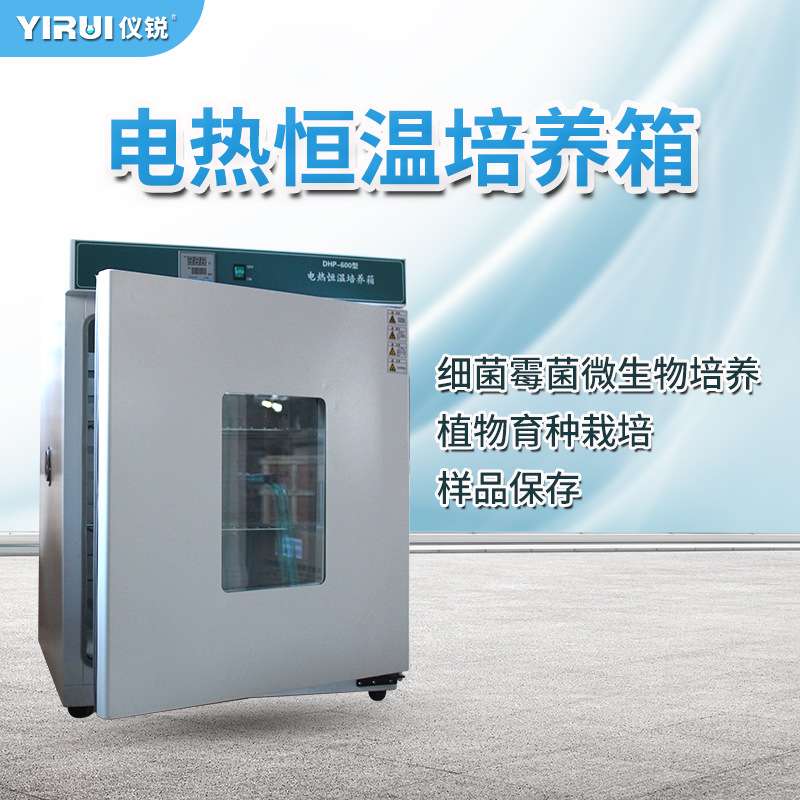 电热恒温培养箱 DHP600 细菌微生物不锈钢培养箱 DHP500   仪锐