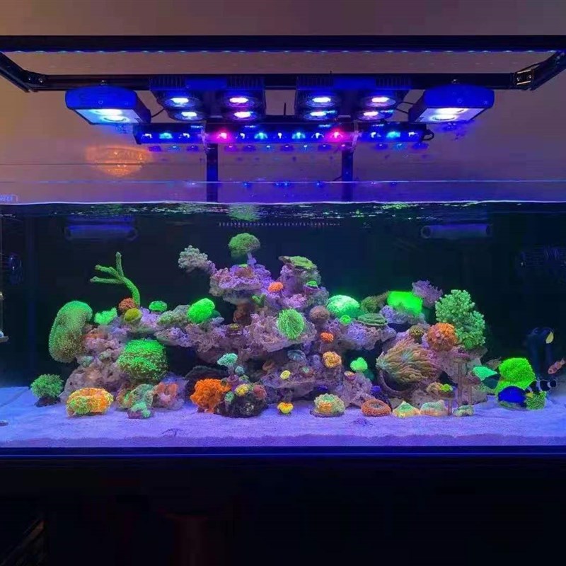 海缸膜海缸贴膜海水缸珊瑚缸鱼缸过滤蓝光去蓝光膜海缸拍照滤镜膜