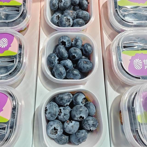 嘉兴水果市场云南佳沃小懒杯18+蓝莓礼盒装新鲜水果脆甜