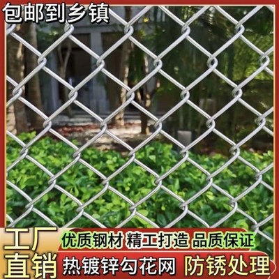 热镀锌围栏网养鸡狗牛羊养殖网钢丝网防护网铁网V格网农用围地网