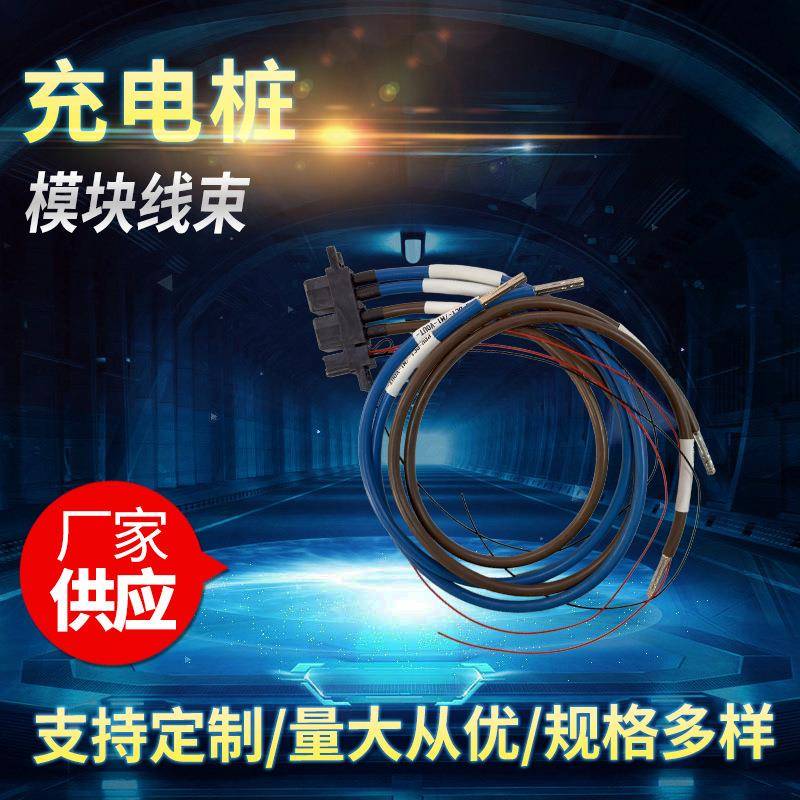 充电桩模块线束 10平方 电压1000v