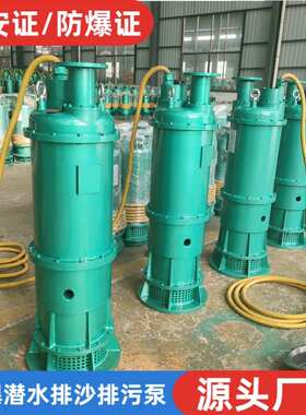 矿用隔爆型潜水排沙电泵 BQS600-50-160kw 660v1140v 防爆潜污泵