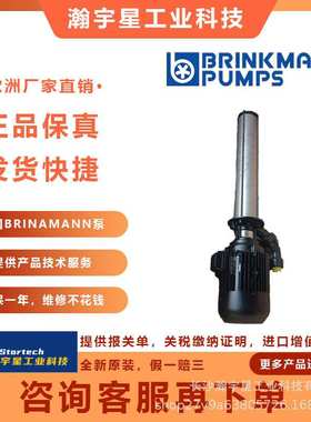 德国 布曼 BRINKMANN  6BULA1SI-K02785 衬套泵配件  质保