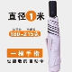 超轻自动雨伞180g碳纤维骨架中号防反弹防紫外线小巧便携抗风防晒
