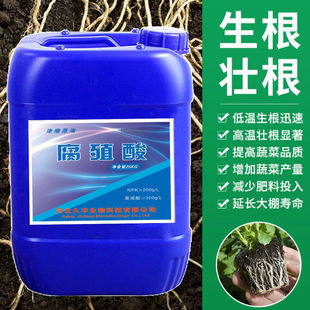 腐殖酸水溶肥生根绿叶腐植酸原粉农用瓜果蔬菜液体肥 生根壮苗肥