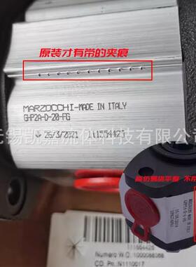 进口马祖奇齿轮泵GHP2A-D-6/9/10/12/13/16/20/22/25/40/50FG油泵