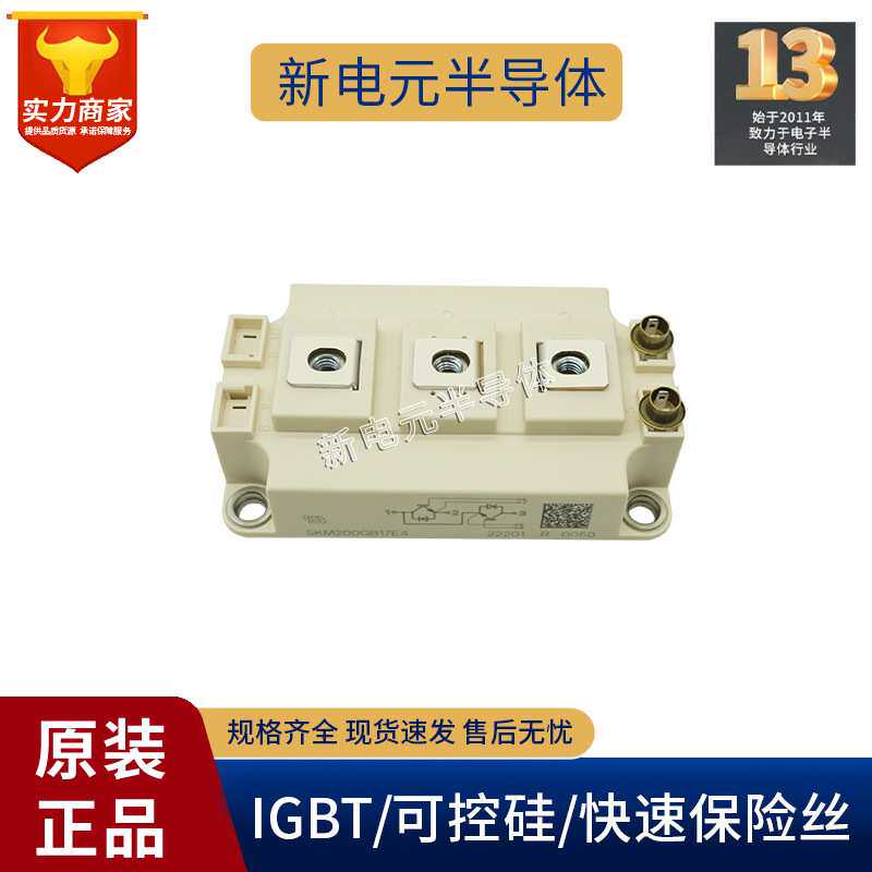 SKM200GB12T4/SKM400GB125D/SKM300GB12T4/SKM450GB12E4/126D模块 - 实物图