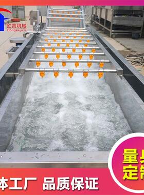 豆清洗机设备 全自动黄土XOB瓜气 泡清洗机设备口蘑机清洗设备