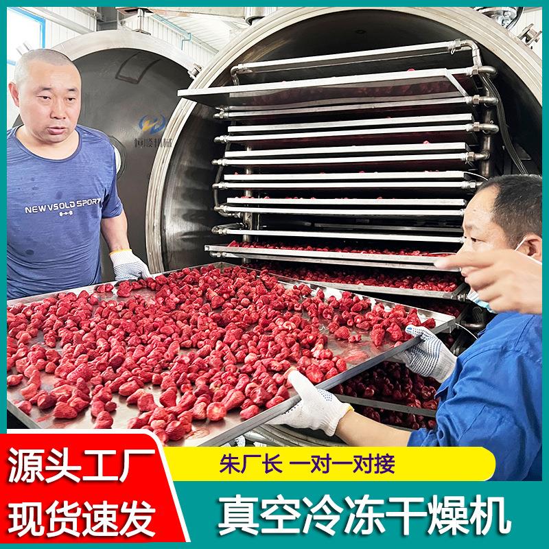 中药材罗汉果真空冻干机山楂脆冻干机秋梨银耳羹低温冷冻干燥机
