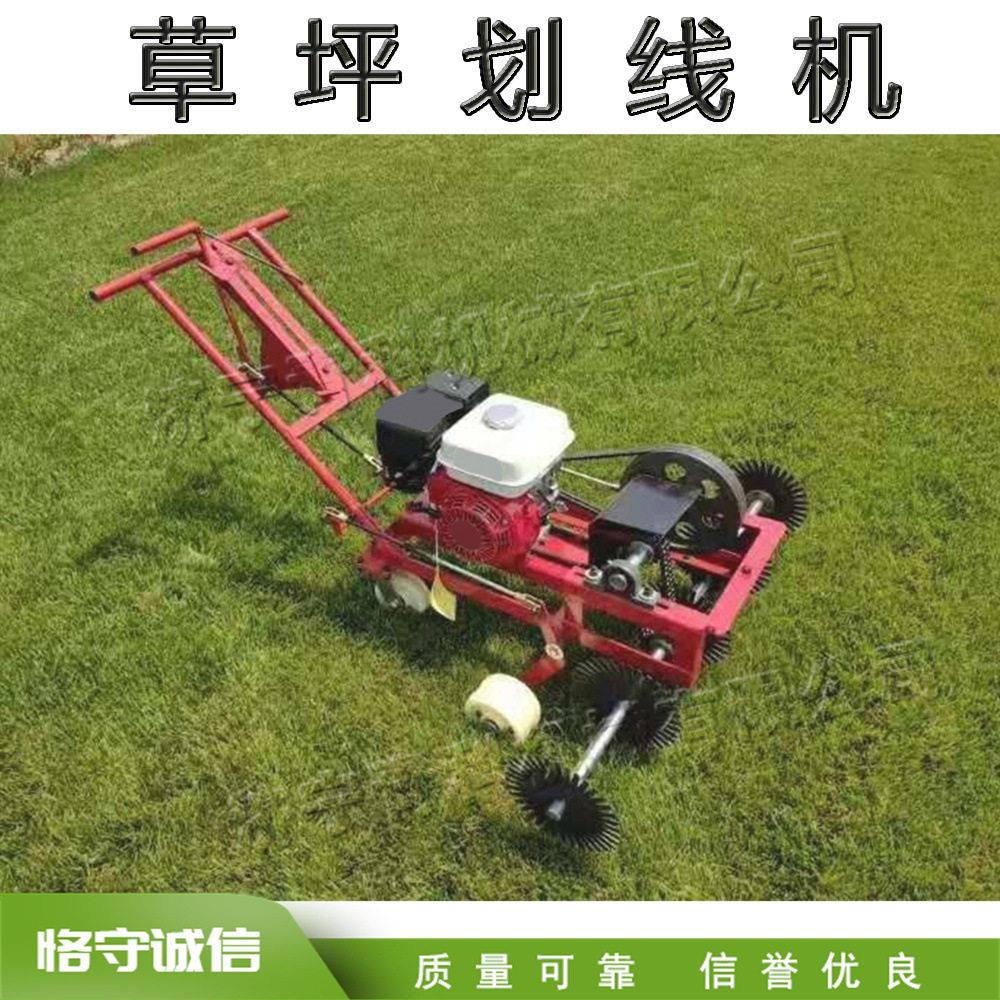 小型草坪划线设备 尔夫球场草皮移植机 手推汽油式草地割草机