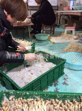 绿色长寿芽花生芽苗一体机多用途豆芽机设备食品豆制品加工机械