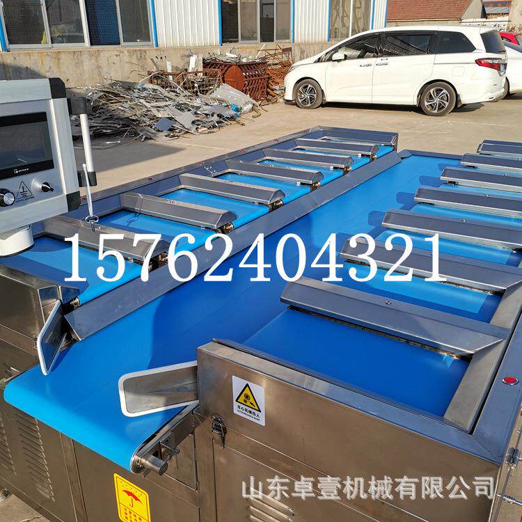 新款定配量重合称全自动生鲜称重打包肉类鸡胸鸭胸24449重量组包,汽车零部件/养护/美容/维保,汽车传感器,淘宝优惠券,粉丝福利购,淘宝优惠卷