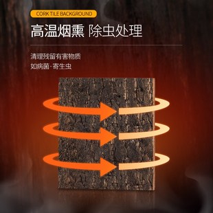 新派WACOOL玩酷爬宠造景树皮背景板雨林缸爬缸饲养箱天然橡树皮