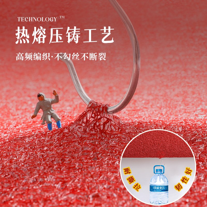 进门地垫入户门垫2025新款丝圈刮泥蹭土脚垫子玄关门口地毯易打理