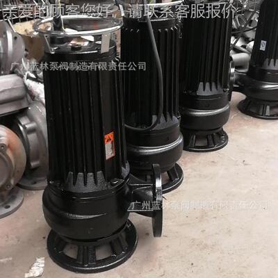 大水口径污泵水潜水泵EGZ 污水站潜污排 广州发货75kw单天发货