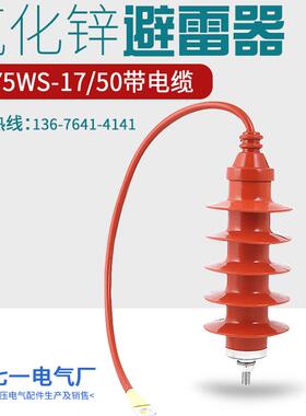 高压氧化锌避雷器HY5WS-17/50Q全绝缘带引线电缆避雷器10KV-15KV