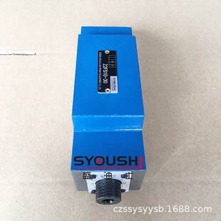 Z2FS10 30B 双单向节流阀TY