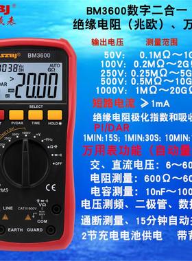 滨江仪表BM3600手持式二合一1000V绝缘电阻测试仪+数字万用表