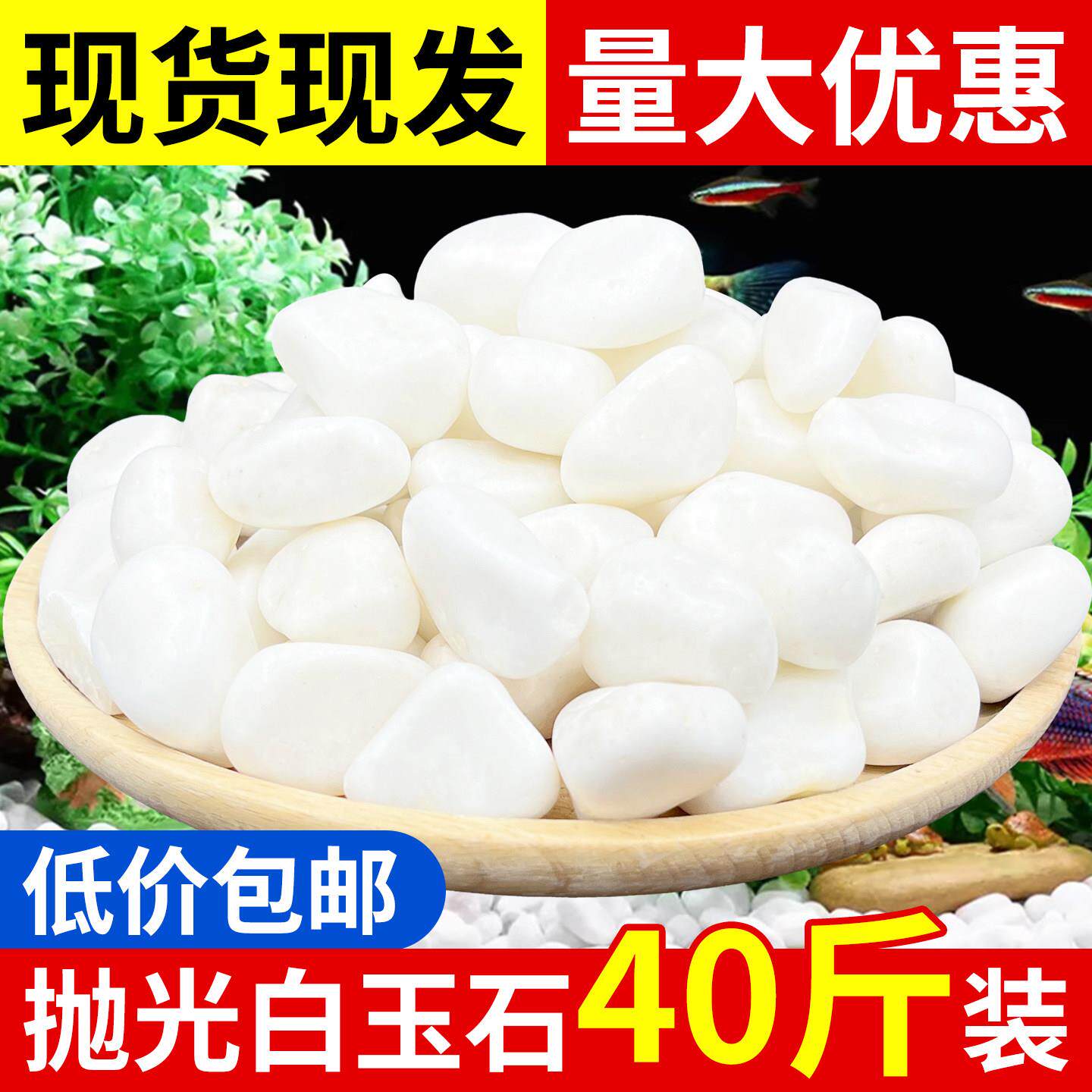 白色鹅卵石天然砾石鱼缸装饰造景石头庭院阳台铺地精抛光小白石子