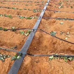 农用农田加厚水带水管黑色节水灌溉主管输水带防爆喷灌无孔软带