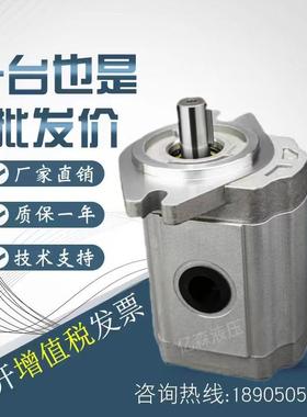 上海大众SDH齿轮泵CBDa-F410/F416/F425/F426/F430/F432/F440油泵