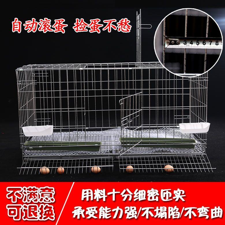 滚蛋鸡笼家用大号加粗家禽运输笼兔笼猫笼狗笼折叠鸡笼鸡舍养殖笼