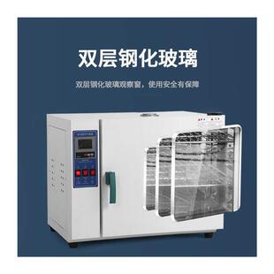 电热恒温鼓风干燥箱高温加热烘箱工业烤箱汽车大灯烤箱实验室烘箱