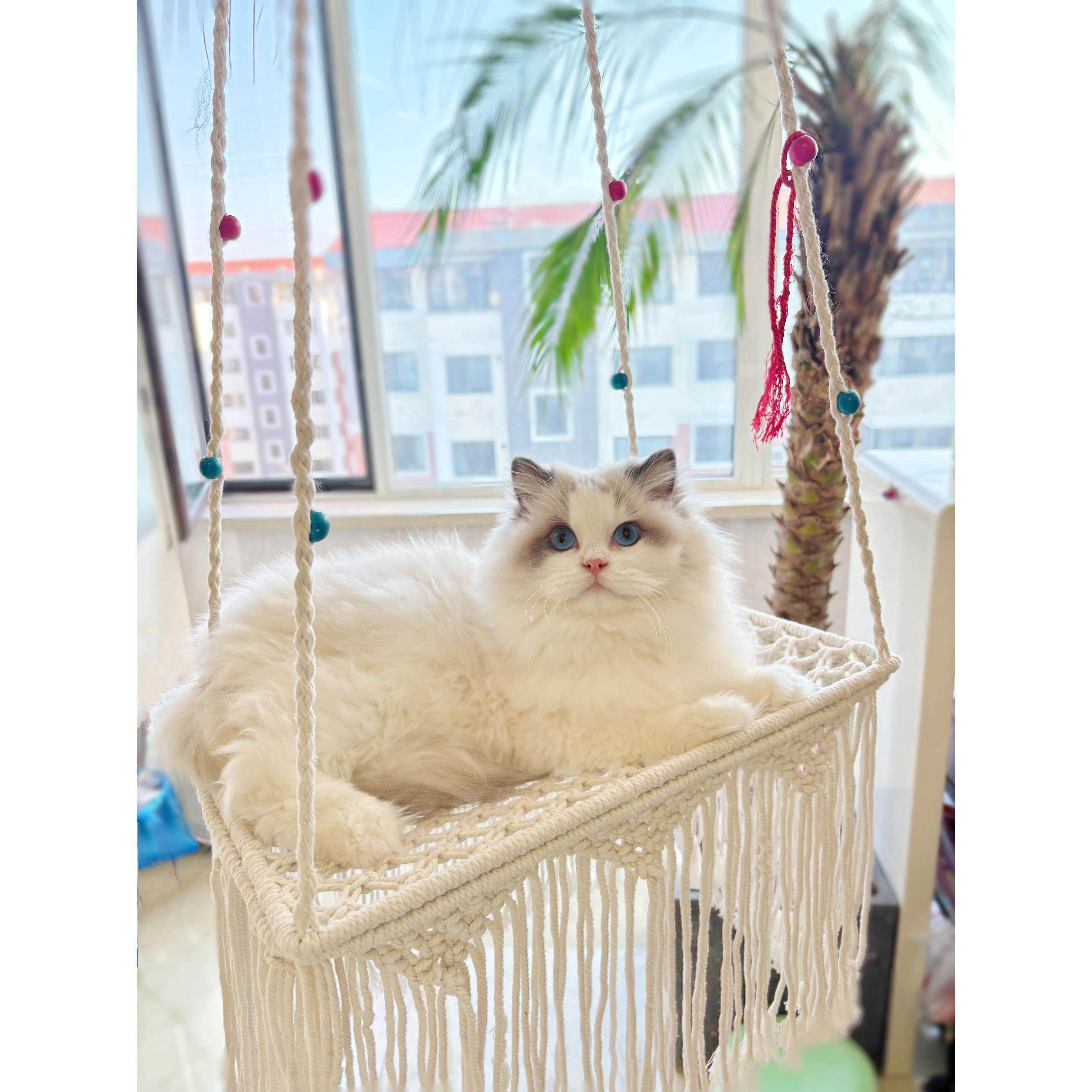 悬挂猫窝 花边猫床摆动挂毯宠物床棉绳秋千吊椅 波西米亚小猫吊床