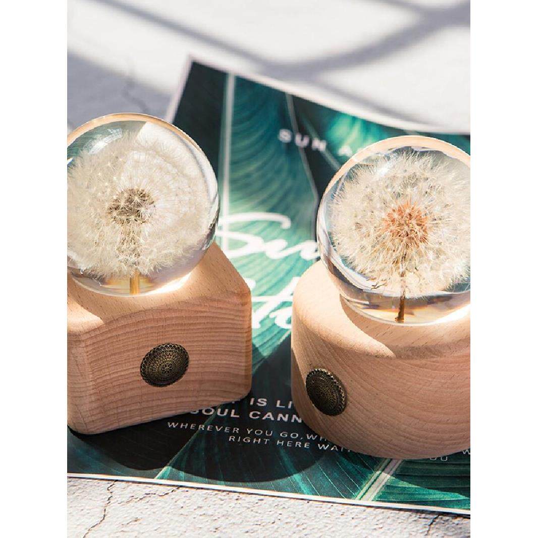 新品创意蒲公英永生花摆件八音音乐盒水晶球送女生生日礼物Z1包邮