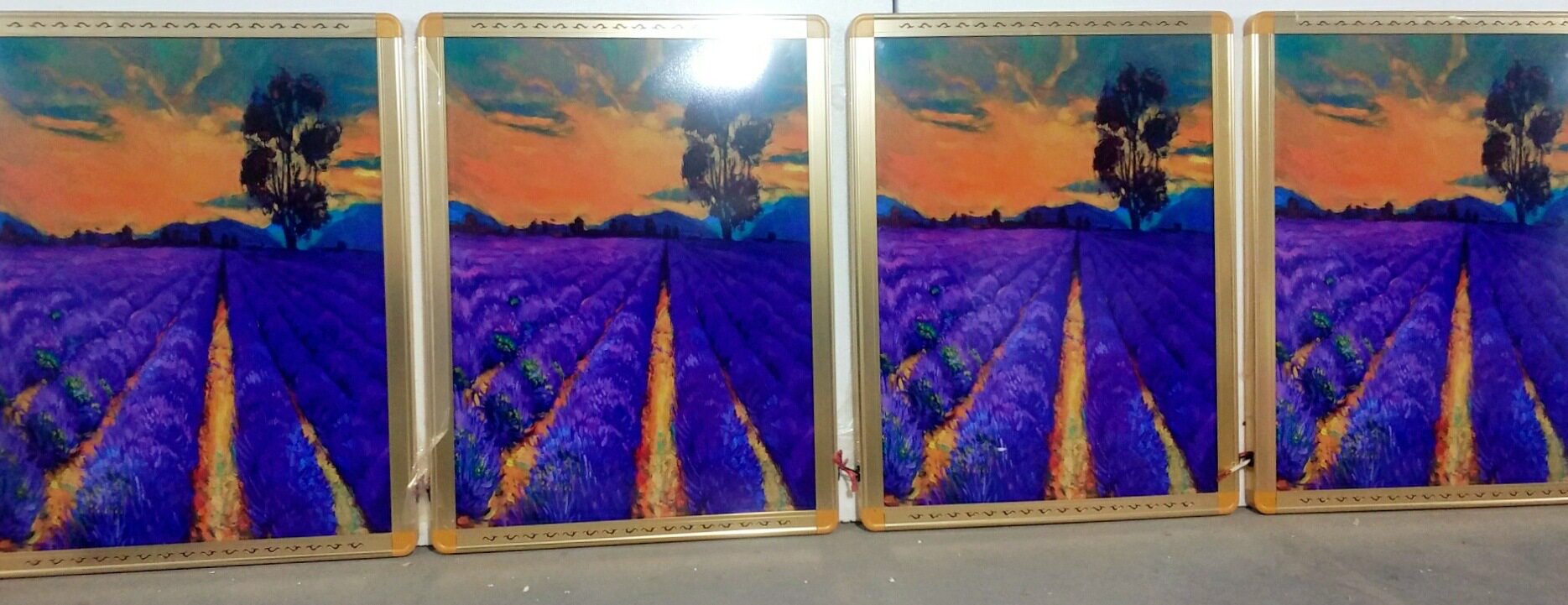 碳晶墙暖电热画发热板