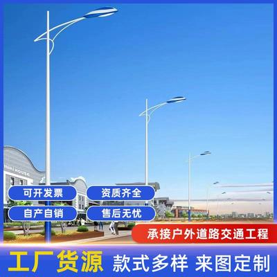 市电路灯LED220V庭院景观灯太阳能路灯高杆灯草坪灯道路生产厂家