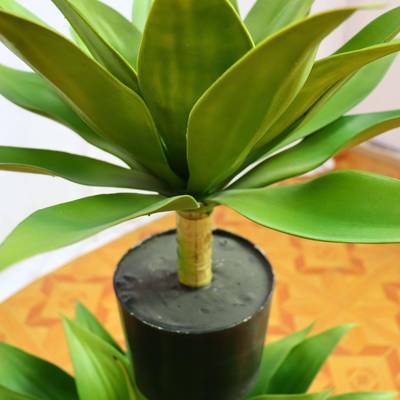 仿真物景龙舌植兰盆栽办公室家居651521客厅装饰摆件仿真绿多植肉