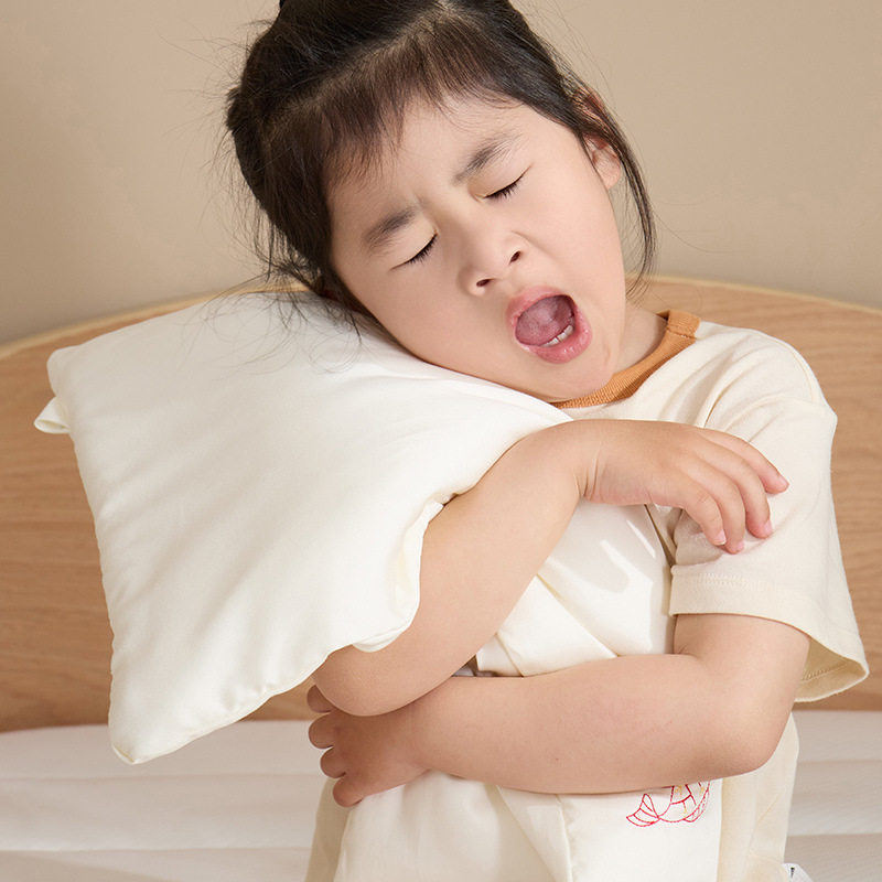 桑蚕丝儿童枕头带真丝枕套0-1-3-6岁以上婴儿枕头宝宝枕新生儿枕