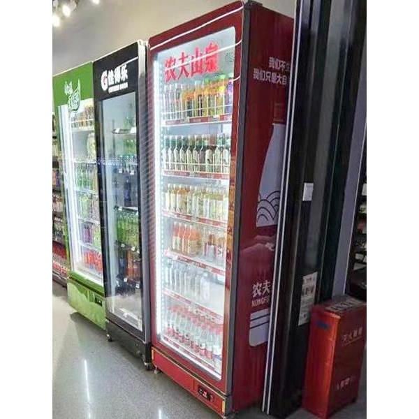 饮柜保冷藏展示100料柜立式鲜柜商用大容量冰柜单双门超市冰酒箱图片