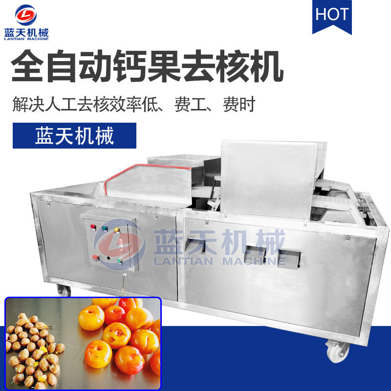 全自动商用不锈钢果核机