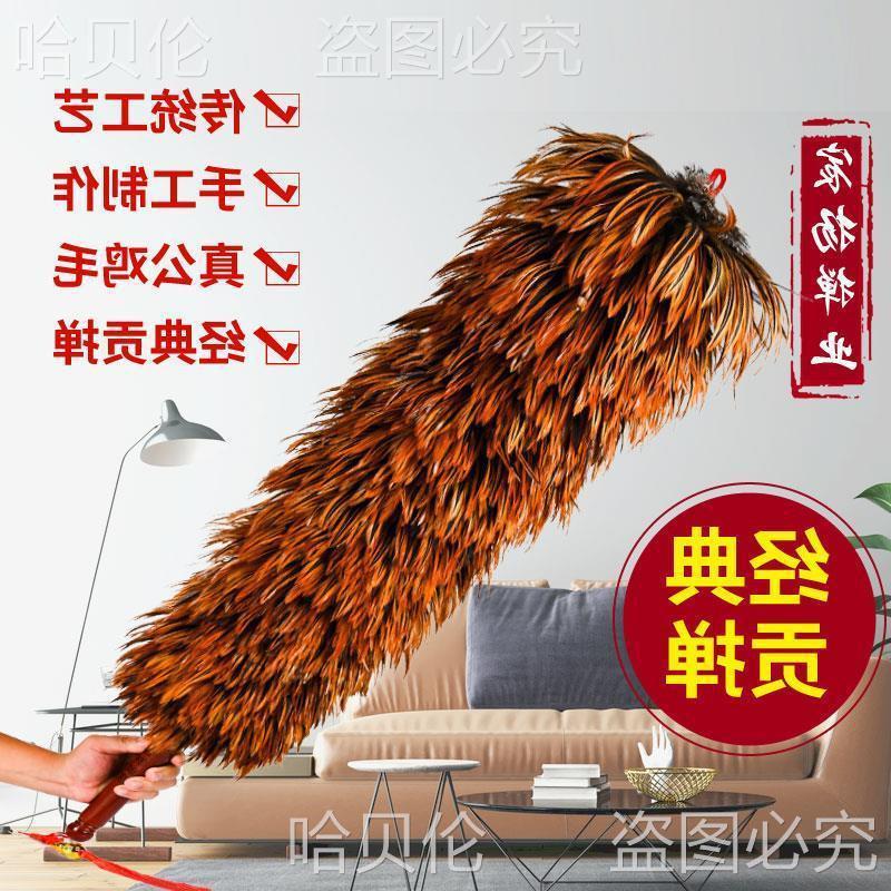 可伸缩不掉毛除尘掸家车两用