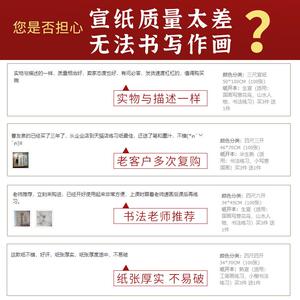 曹友泉宣纸书法生RAU纸国画作品纸半生练半熟宣纸熟工笔宣画习纸1