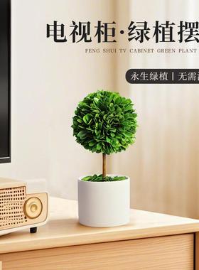 电视柜摆件永生绿植盆栽客厅桌面家居饰品玄关创意简约酒柜装饰品