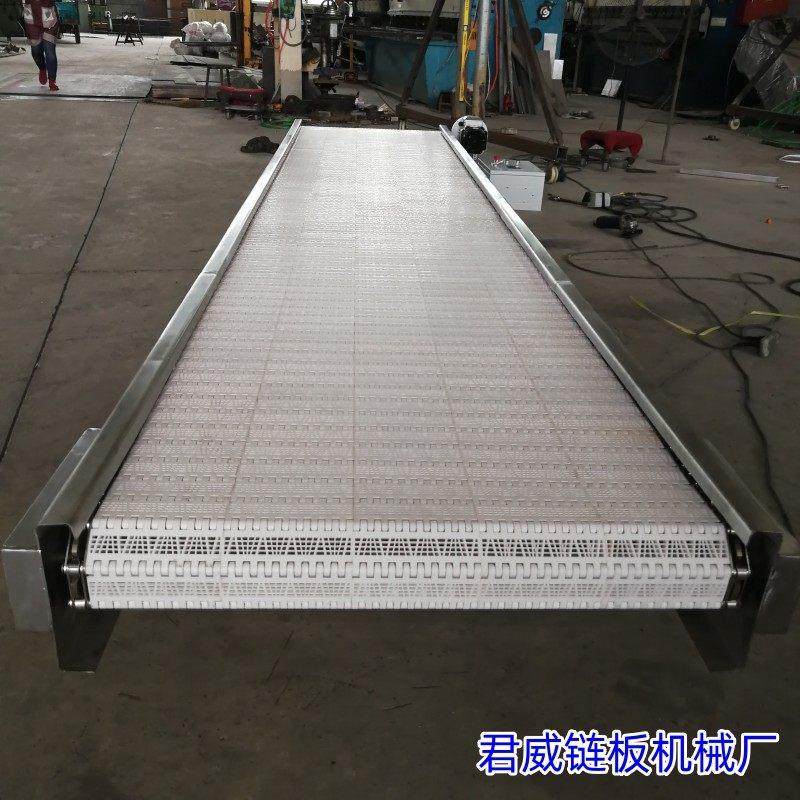 pp塑料链板输送机挡板式尼龙链板输送带塑料洗碗机网链网带传送机,五金/工具,传动带,淘宝优惠券,粉丝福利购,淘宝优惠卷