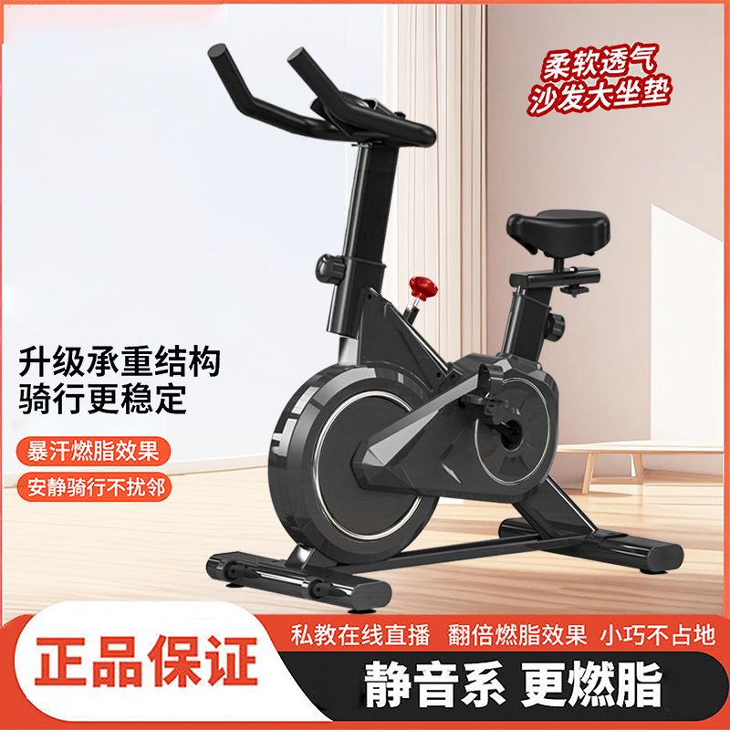 动感单车家用静音健身器