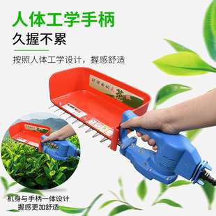 采茶机 单人小型手提充电式 家用修剪茶树枝绿篱机 电池款 背负式